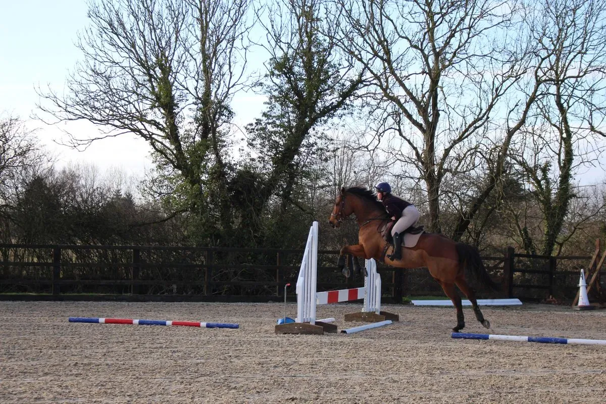 8225635084619-9t08ymzt6gg7bv4eys8dq-IMG-8953 thumbnail image