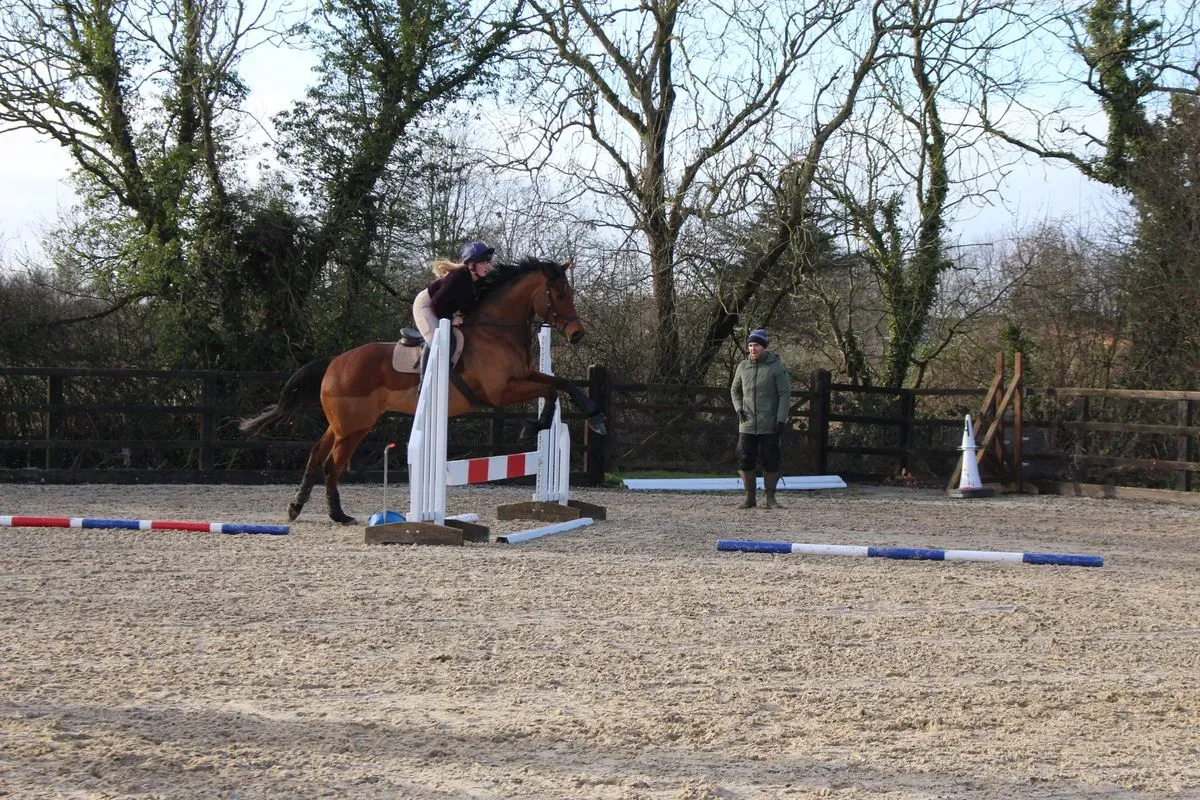 8225635129053-uppdt0tpbg92iyrn6zqyjd-IMG-8949 thumbnail image