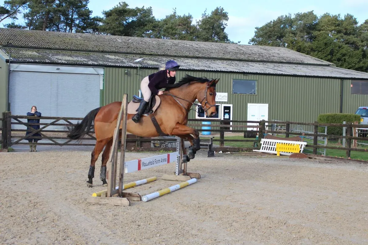 8225635245148-37kp9p2lqvp5tyzptkusoj-IMG-8946 thumbnail image