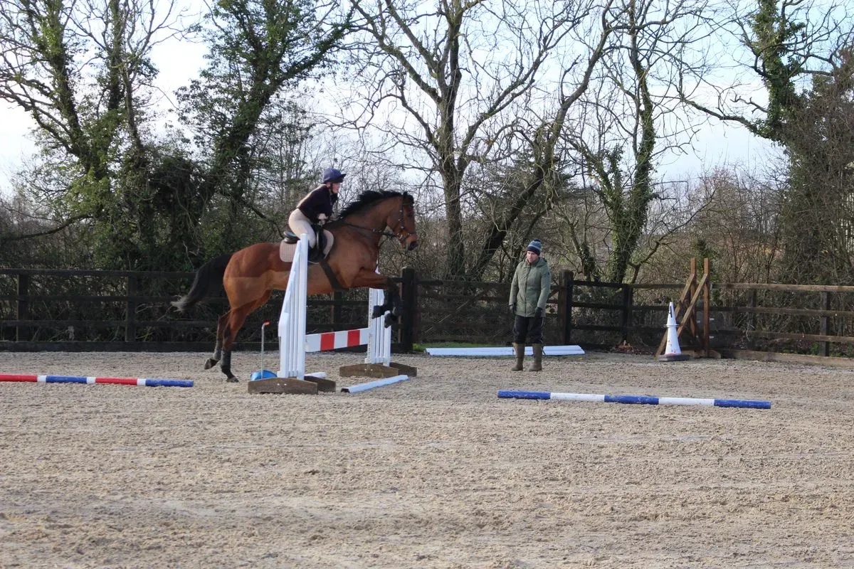 8225635358425-o9x11257be9qxo64l0e8n-IMG-8943 thumbnail image