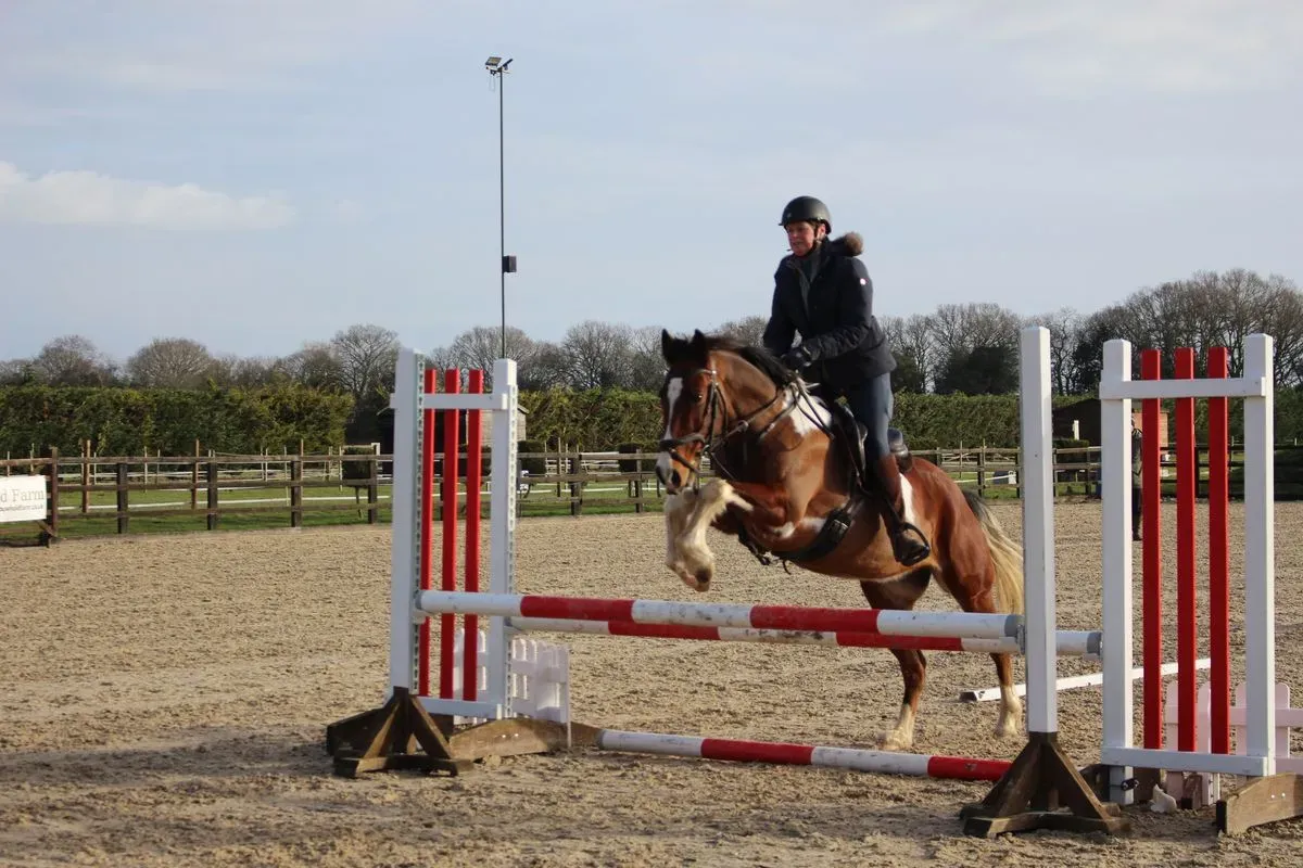 8225635402649-6vikzpgi5jlthwtsoz6ts8-IMG-8941 thumbnail image