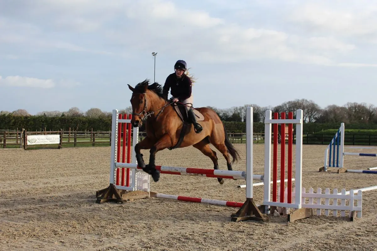 8225635444705-8gc7ss0rfecaqsoz4zplip-IMG-8938 thumbnail image