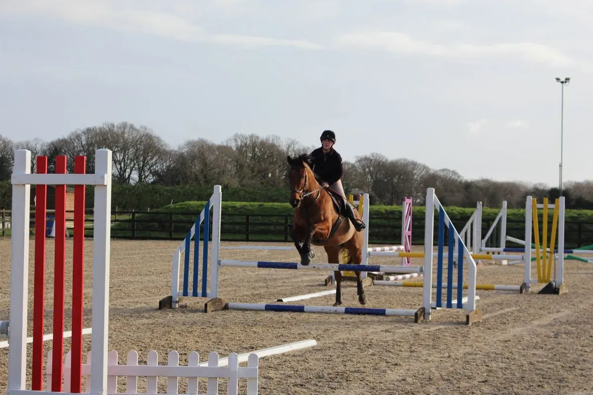 8225635493370-2hw0dojmh699isfx6a3x7e-IMG-8936 thumbnail image