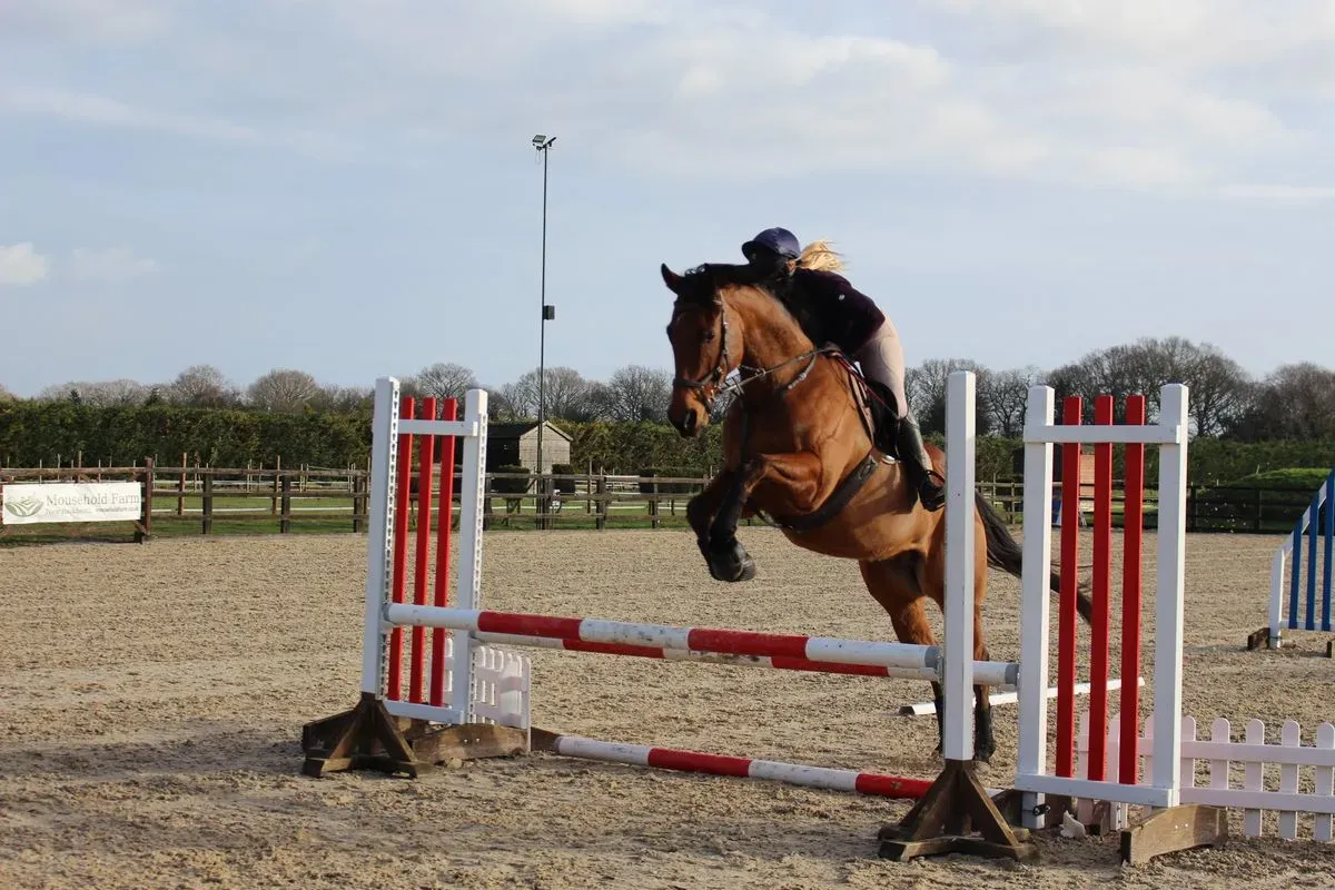 8225635528674-ls6lwqqiqwwrvn3zt1bfo-IMG-8935 thumbnail image