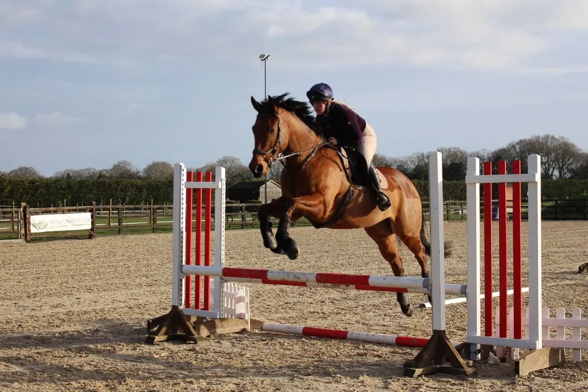 8225635773534-5ow3tuneaxbx2ox7yt6n4-IMG-8934 thumbnail image