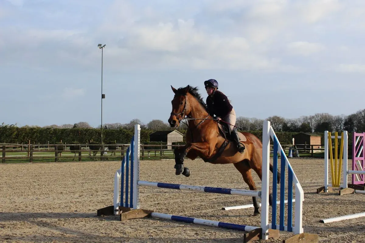 8225635854648-0uuie2qlgo8bznw51incpm-IMG-8931 thumbnail image