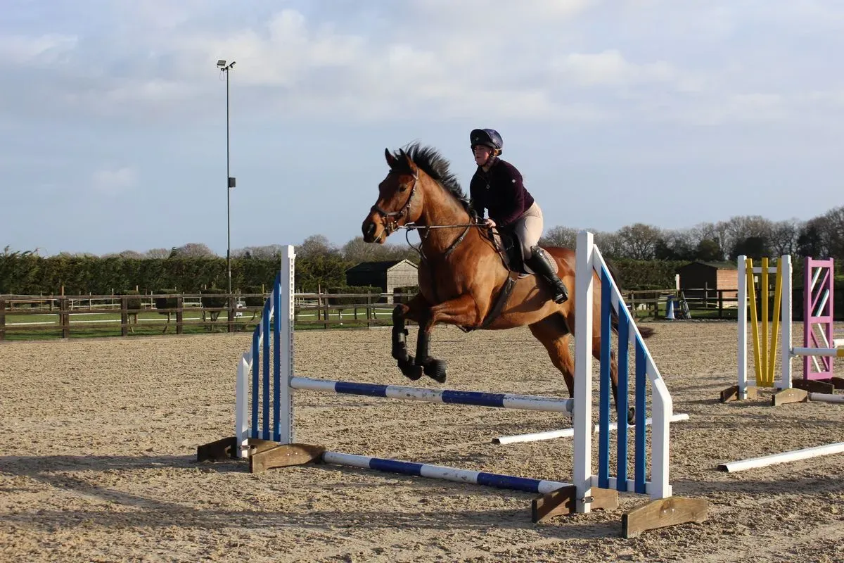 8225635945448-543h5tiq5t9kt5a88gj2to-IMG-8928 thumbnail image