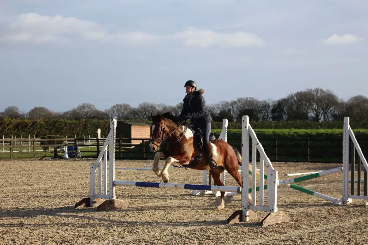 8225636000832-f86apb9z0e45omsvjp40p4-IMG-8927 thumbnail image