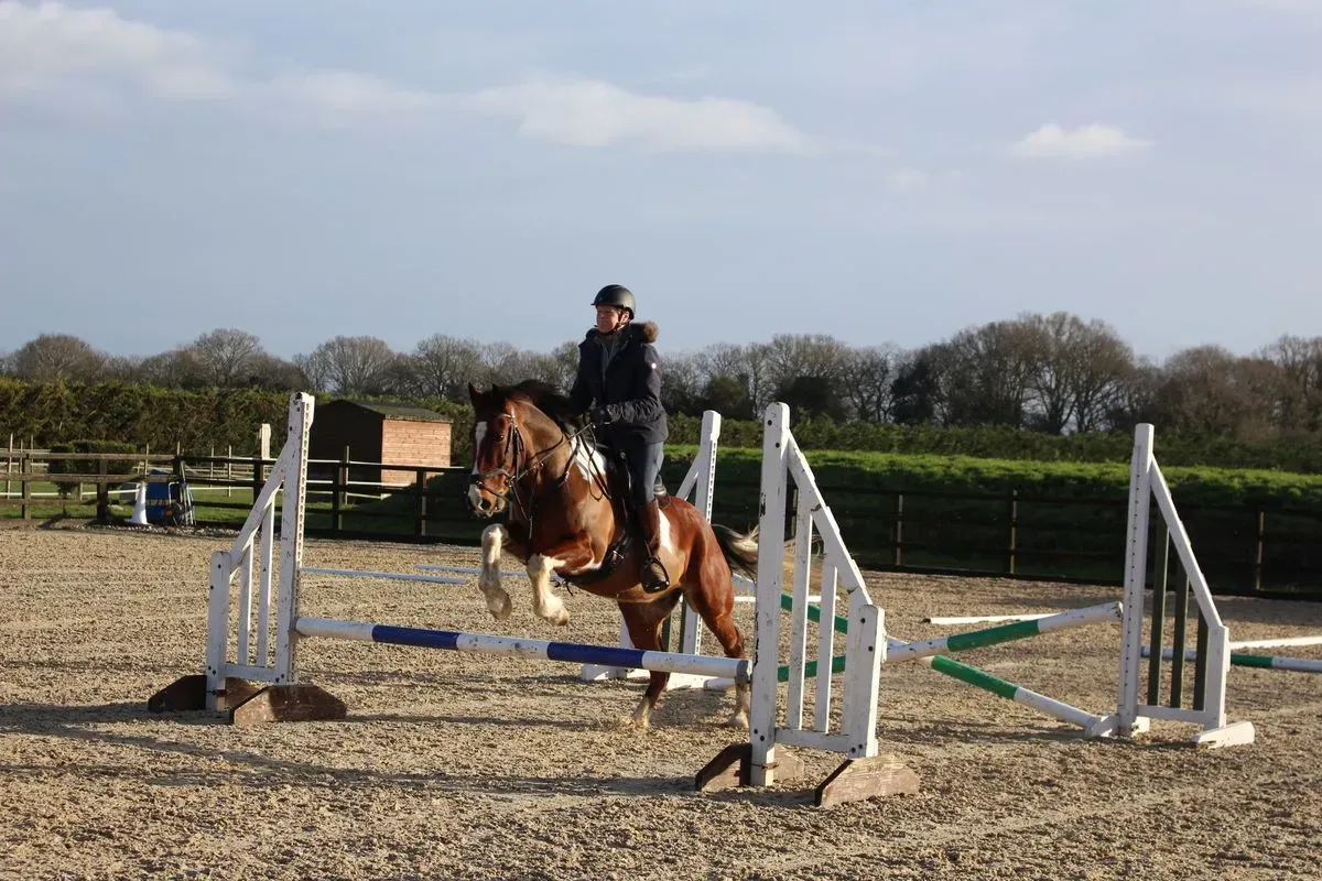 8225636045646-1dyjd9zilz8wmehs2fudq-IMG-8926 thumbnail image