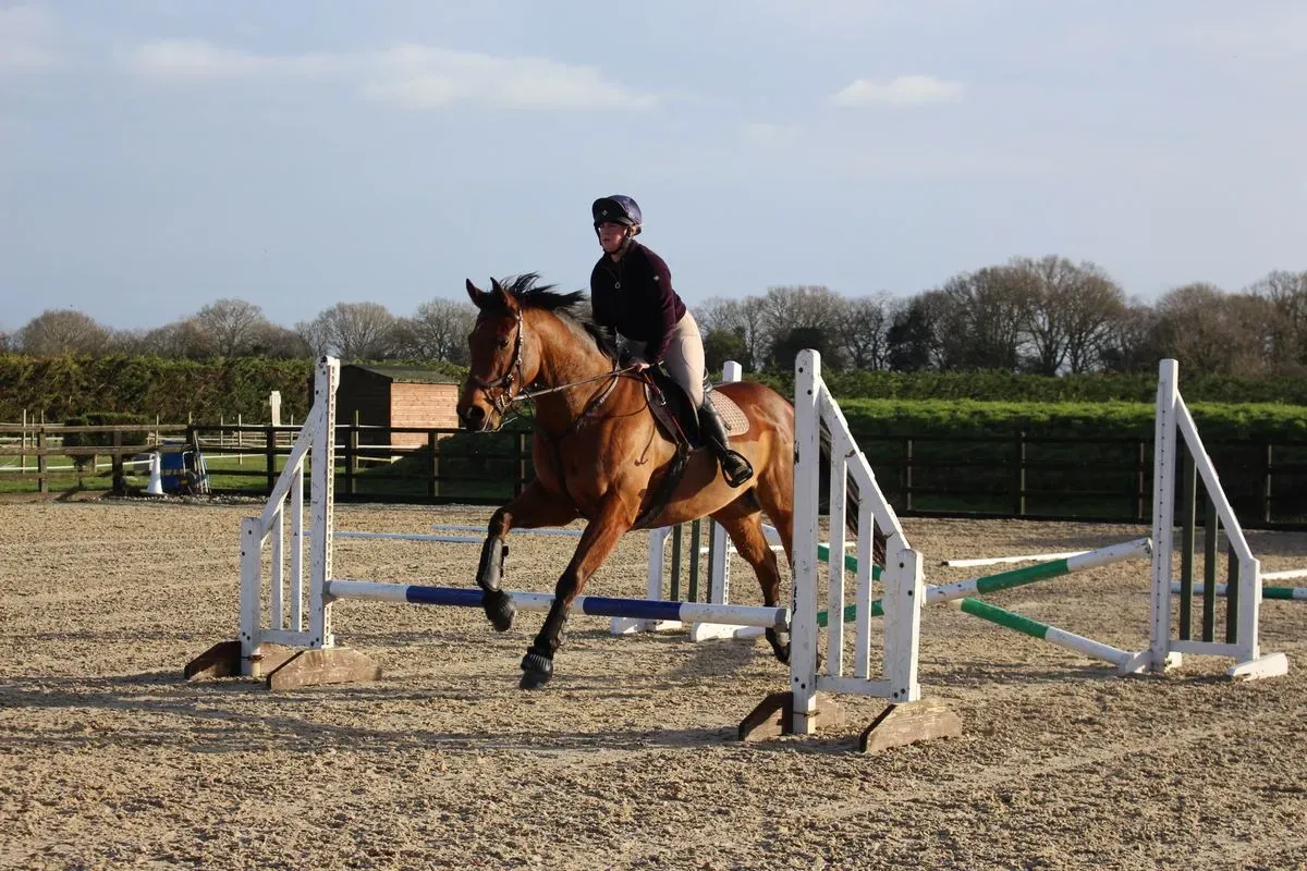 8225636087558-8ux1h0wk222fre8r1cjq5h-IMG-8924 thumbnail image