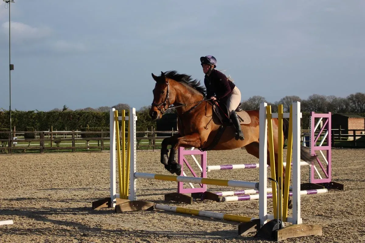 8225636428077-wtsbglemhnfw7z80iy2hjb-IMG-8920 thumbnail image