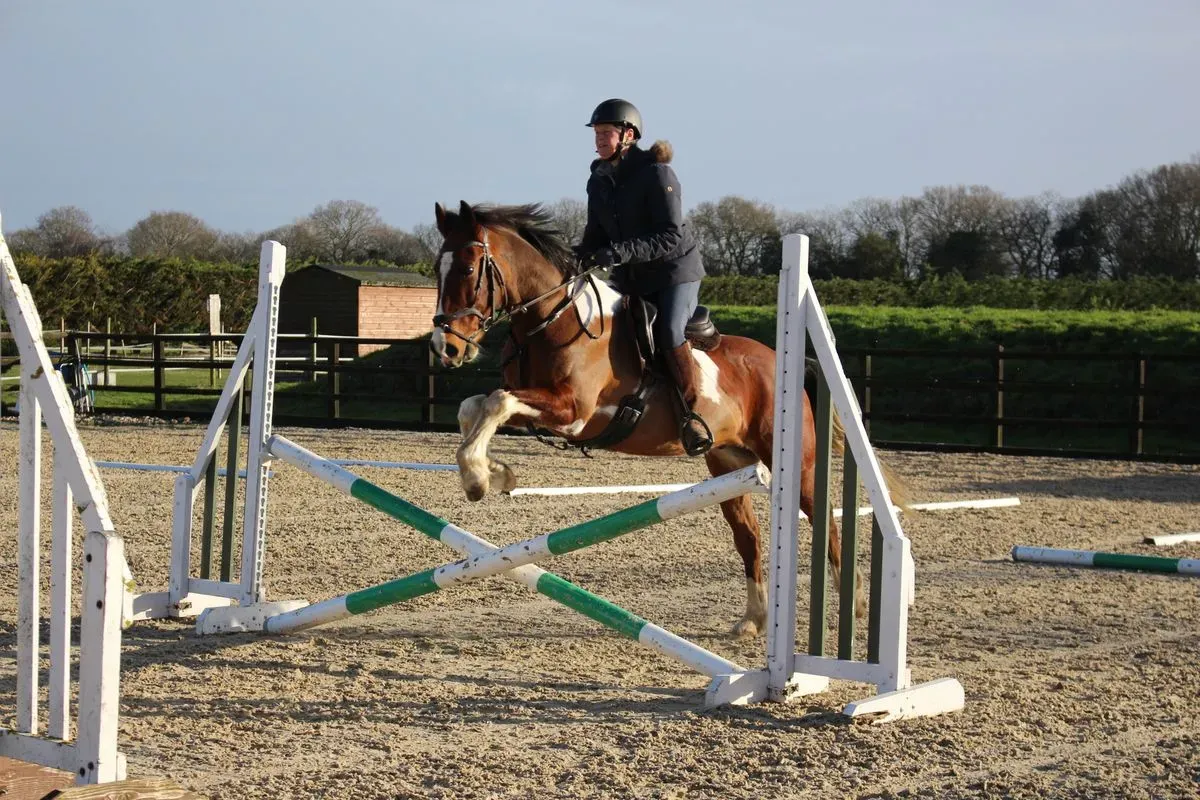 8225636473264-cn7k8wqiqkm9450j5mrng8-IMG-8919 thumbnail image