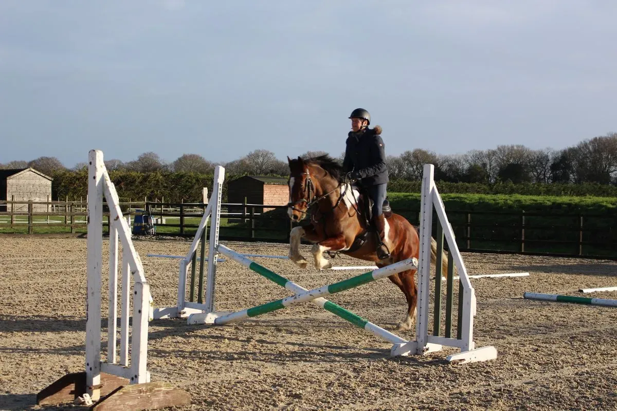 8225636545791-n5xmmqy02ol8bn5z1qs4q-IMG-8917 thumbnail image