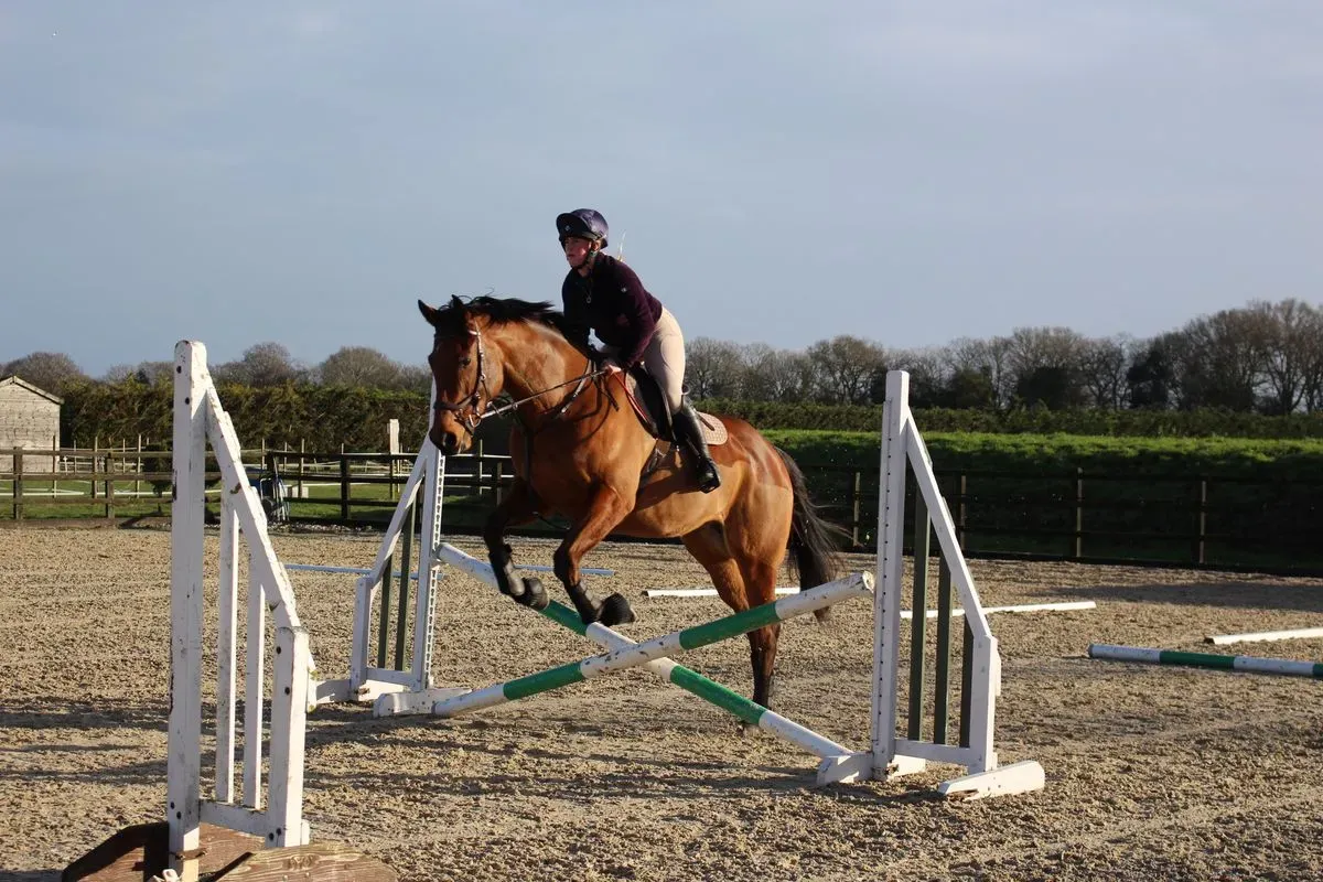 8225636921741-xefs55aj1g7rg8bs6lmbm-IMG-8916 thumbnail image