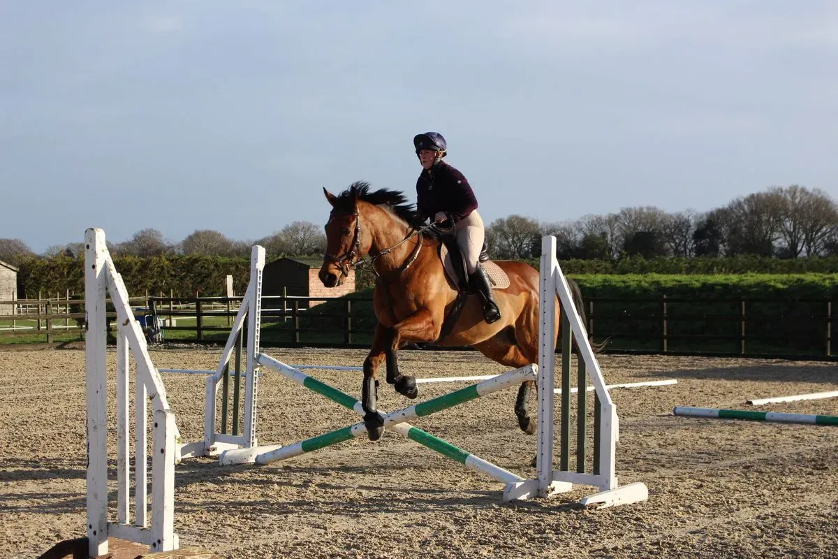 8225637023145-msnsj7z008q2bsfobc1o2g-IMG-8914 thumbnail image