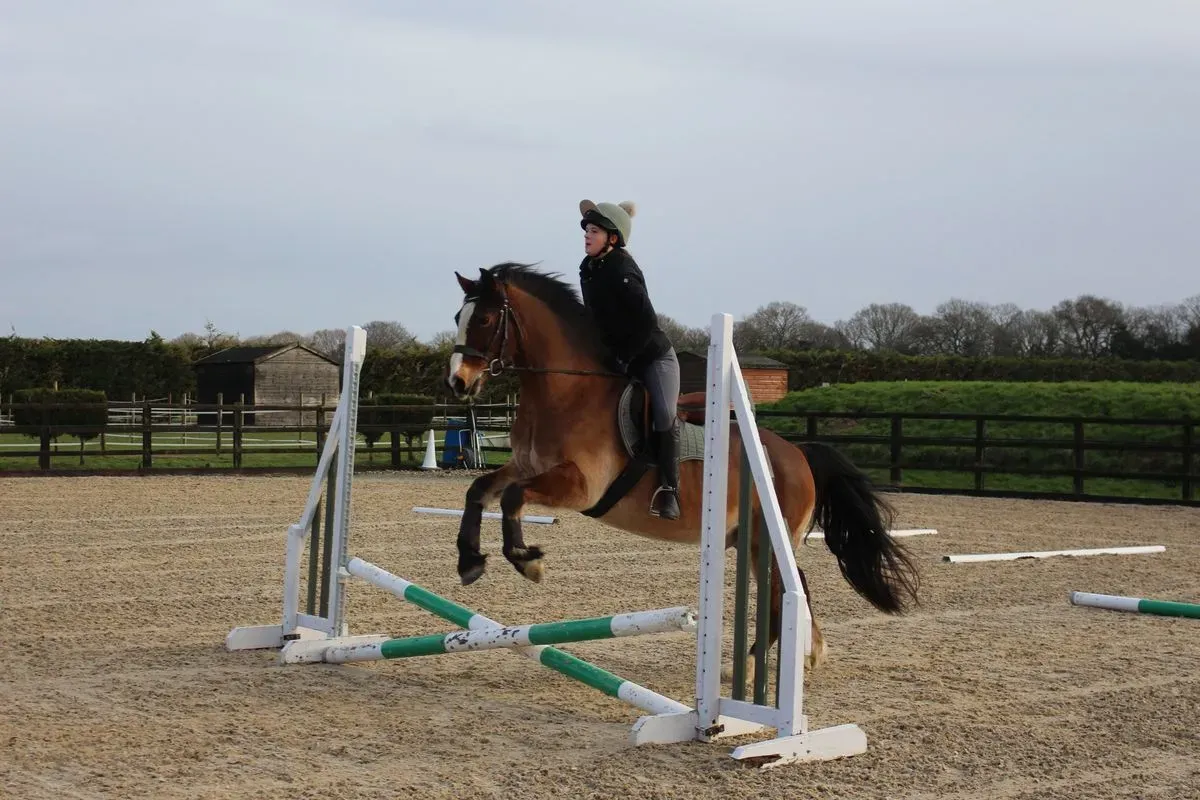 8225637097058-ymv9eg1021j8s8c5ufn5kb-IMG-8910 thumbnail image