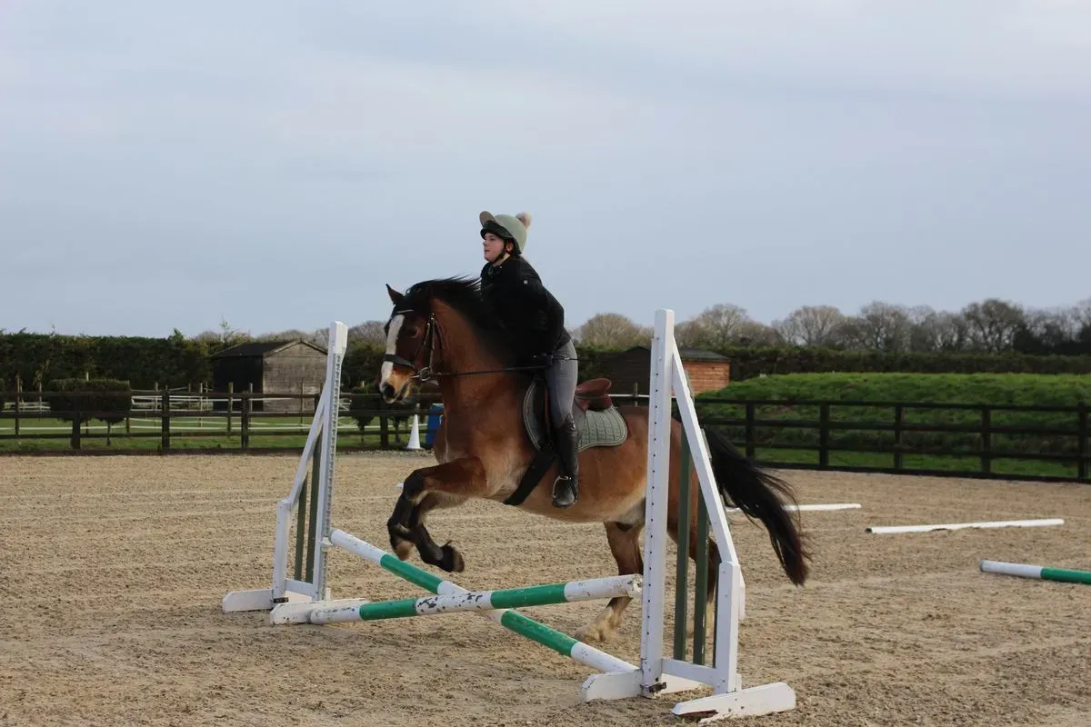 8225637154287-al9zt50ziqmql0sorh92ad-IMG-8907 thumbnail image