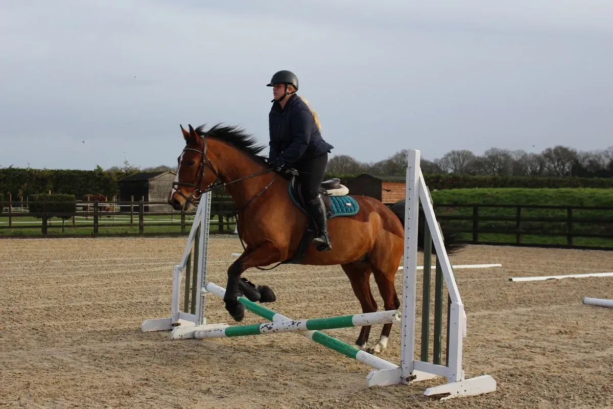 8225637195649-v2pkk09er8o2jd4oxt0vl1-IMG-8905 thumbnail image