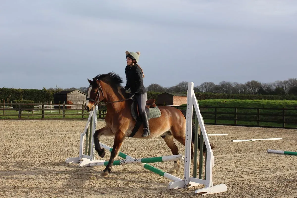 8225637235074-4edxxwkztk6rrclc465pq-IMG-8904 thumbnail image