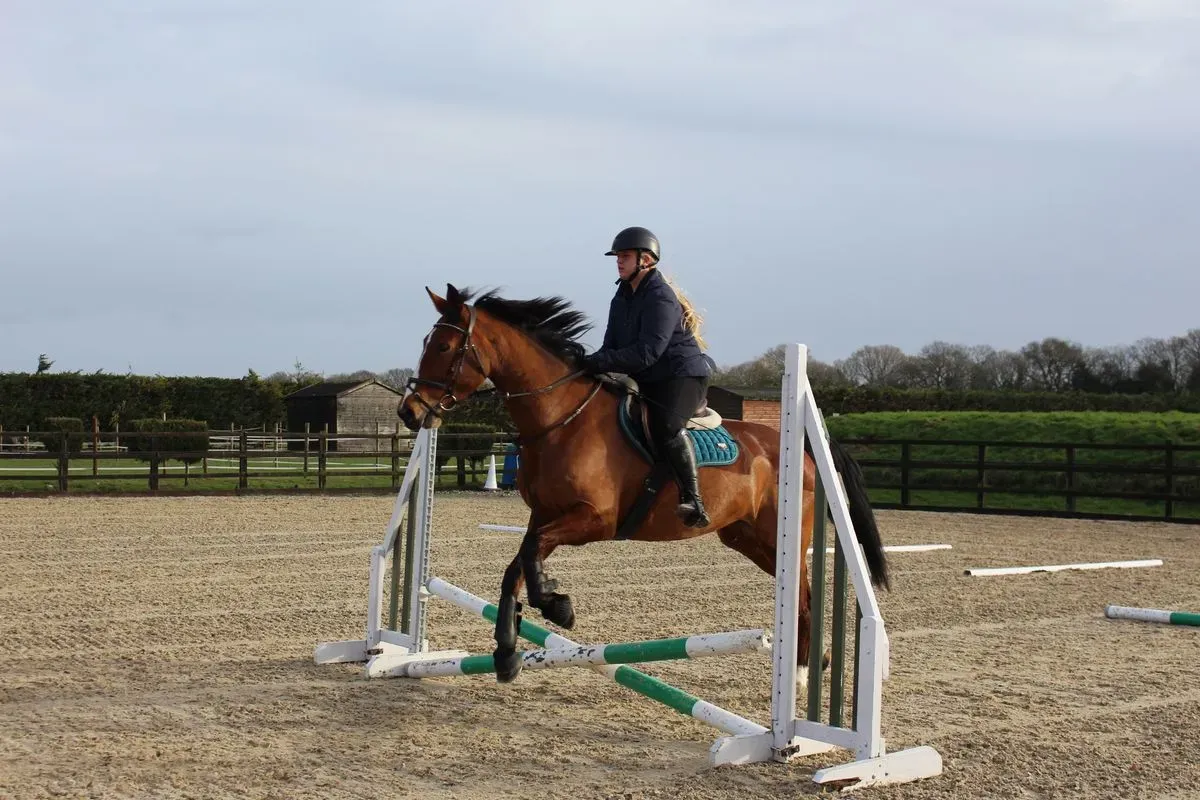 8225637268004-avxs1i4fqgnlkr71c9nt8-IMG-8903 thumbnail image