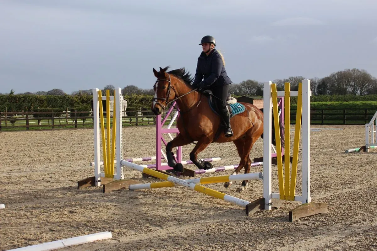 8225637305755-f2j3vaicjf2f9zriz32rq-IMG-8902 thumbnail image