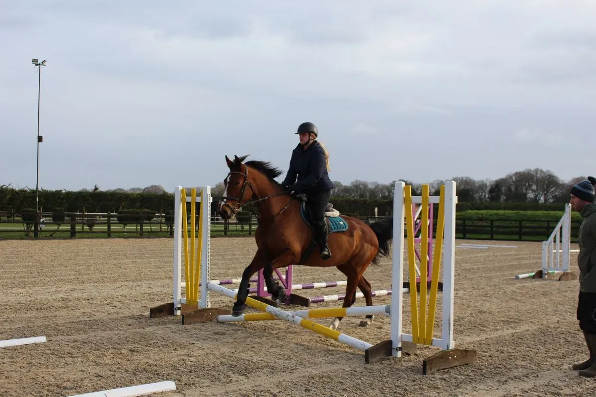 8225637375537-tdktc414yik2m2lr47ppdw-IMG-8900 thumbnail image