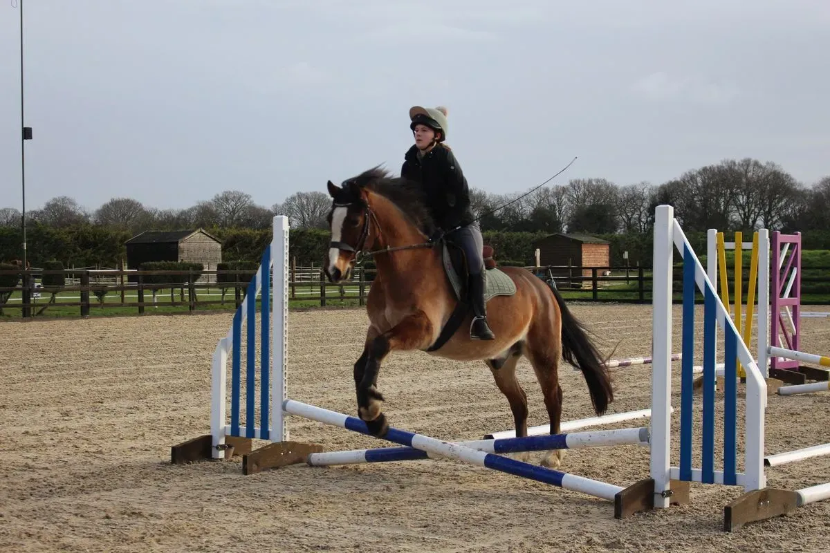 8225637454847-xvfz46xpz2gttb1vxv8ots-IMG-8899 thumbnail image