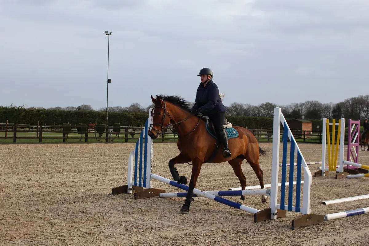 8225637503499-75u0sjr1jzflrxb6omo5a-IMG-8895 thumbnail image