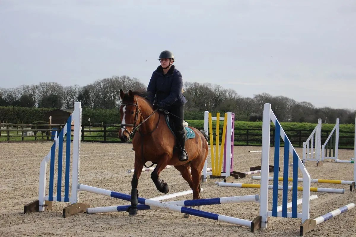 8225637556214-jtja5ojlc49f8iptpenzwg-IMG-8889 thumbnail image