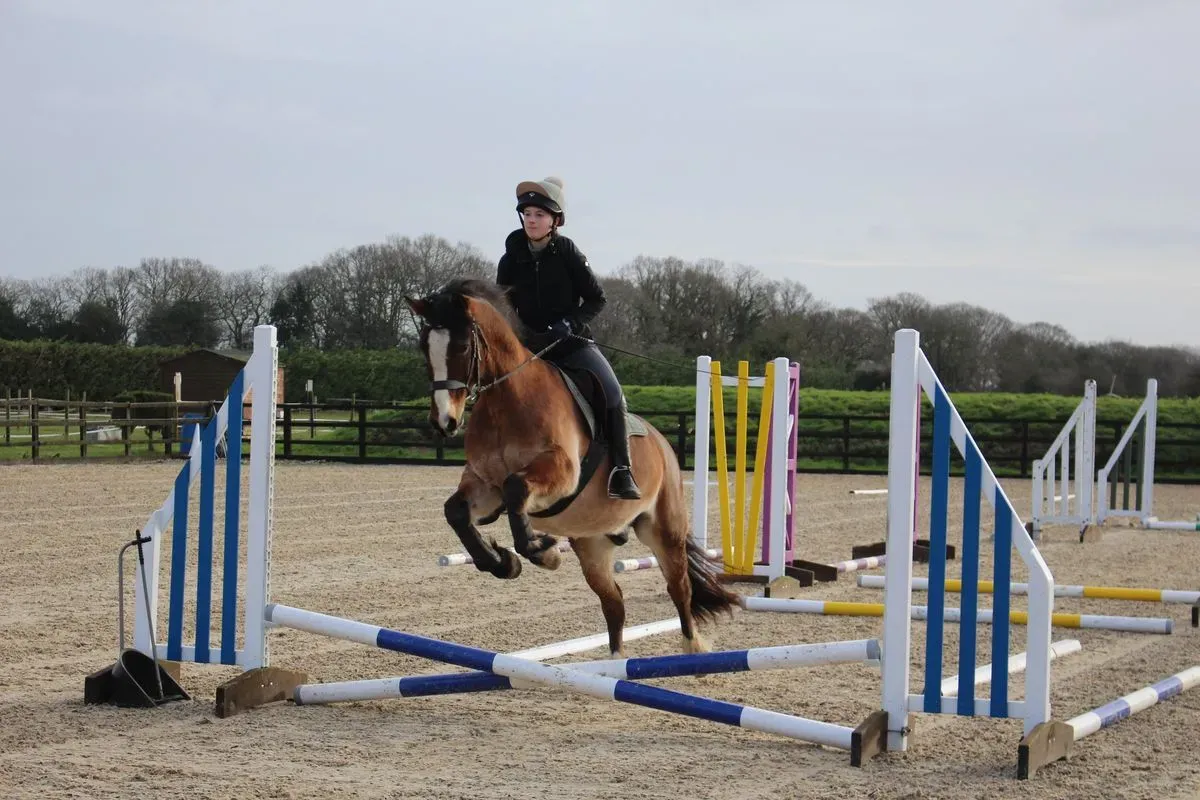 8225637604086-867wjijeyaqoqqpxfn8de-IMG-8888 thumbnail image