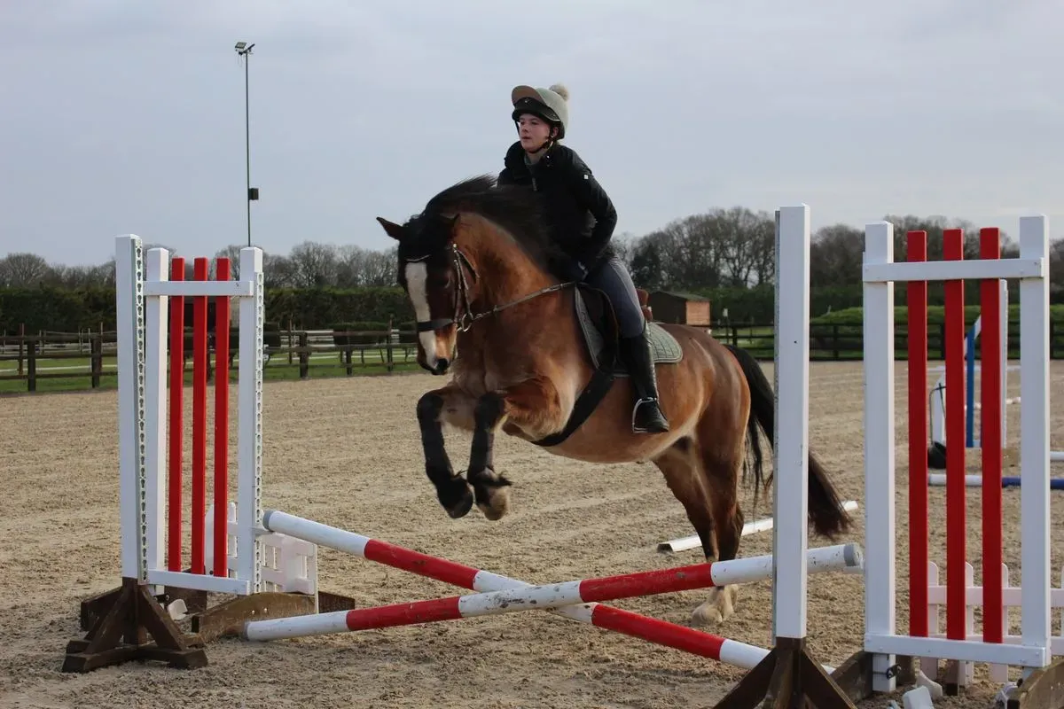 8225637659923-zn958s1h4sinxk4pskyd-IMG-8887 thumbnail image