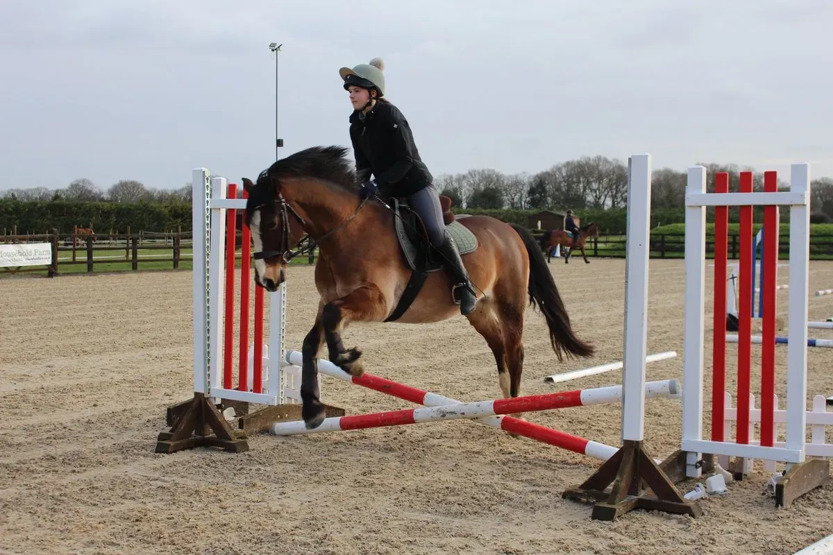 8225637757060-cjq9h1ye91qltbrrvrcuvc-IMG-8885 thumbnail image