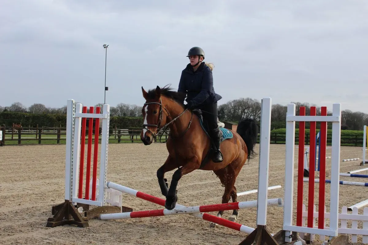 8225637862607-rk1iylkokqwa339p6gui-IMG-8884 thumbnail image