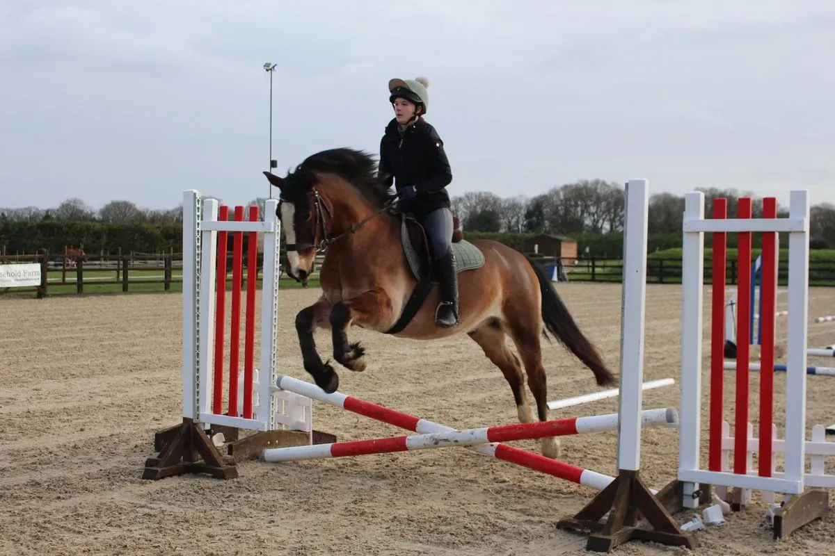 8225637939947-627uxkyy7bvmcye08rhzqs-IMG-8883 thumbnail image