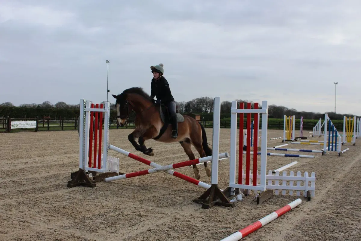 8225637982591-r0k8c802wfh1iyrquk97r-IMG-8880 thumbnail image