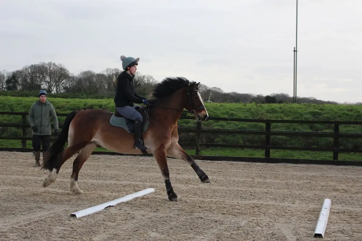 8225638090974-dhronyxnpkn5ykvk9cgjc-IMG-8874 thumbnail image