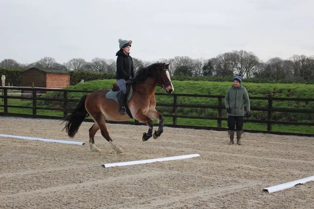 8225638204574-9fgeeyty0hq0odwmig3j96r-IMG-8873 thumbnail image