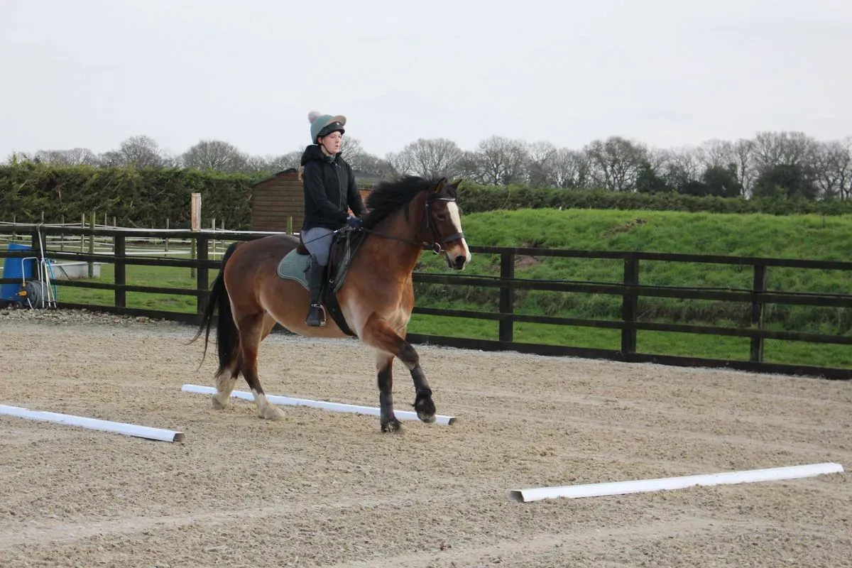 8225638245805-ckppw8aka7k3fe04c0402d-IMG-8872 thumbnail image