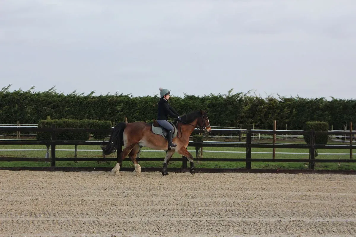 8225638273291-m3bvbdxlvqruyb7z9u3elc-IMG-8862 thumbnail image