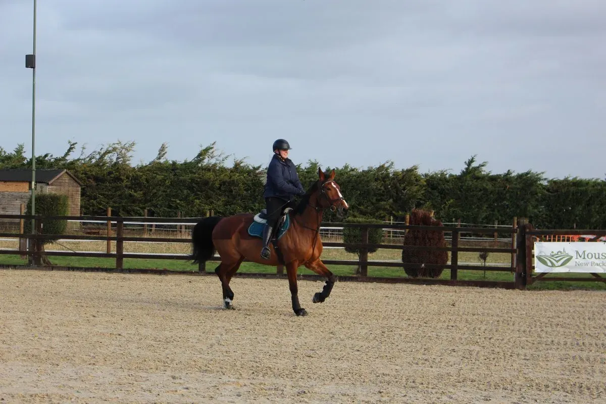 8225638295703-rhx5wpxm5nfa8cmh1d8oqq-IMG-8858 thumbnail image