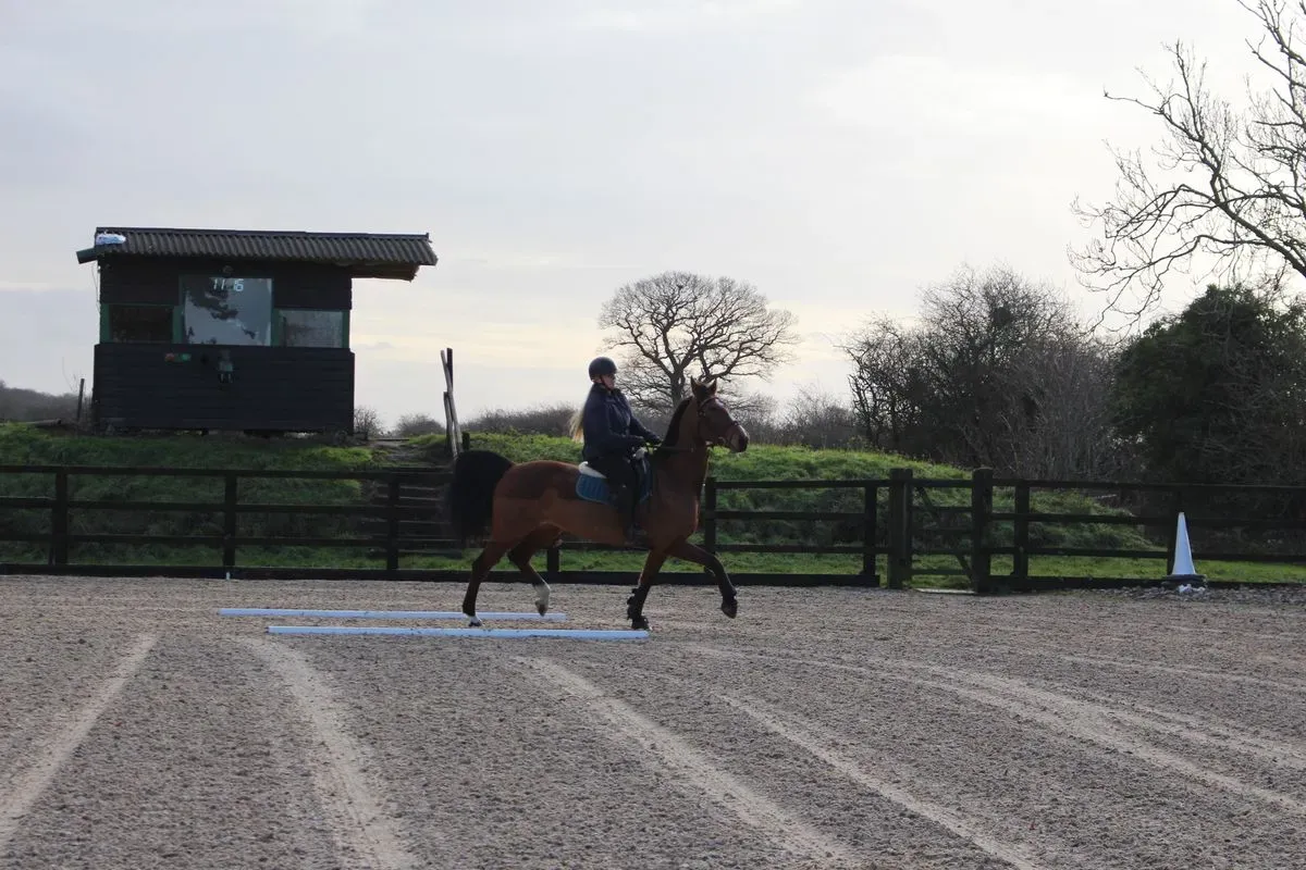 8225638330755-n7dkfp8rzpcd7sqk0hcmrg-IMG-8857 thumbnail image