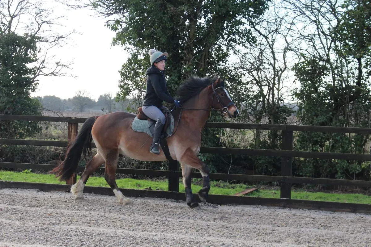 8225638455078-kbtfn33ggq4o5s7e27aa7-IMG-8851 thumbnail image