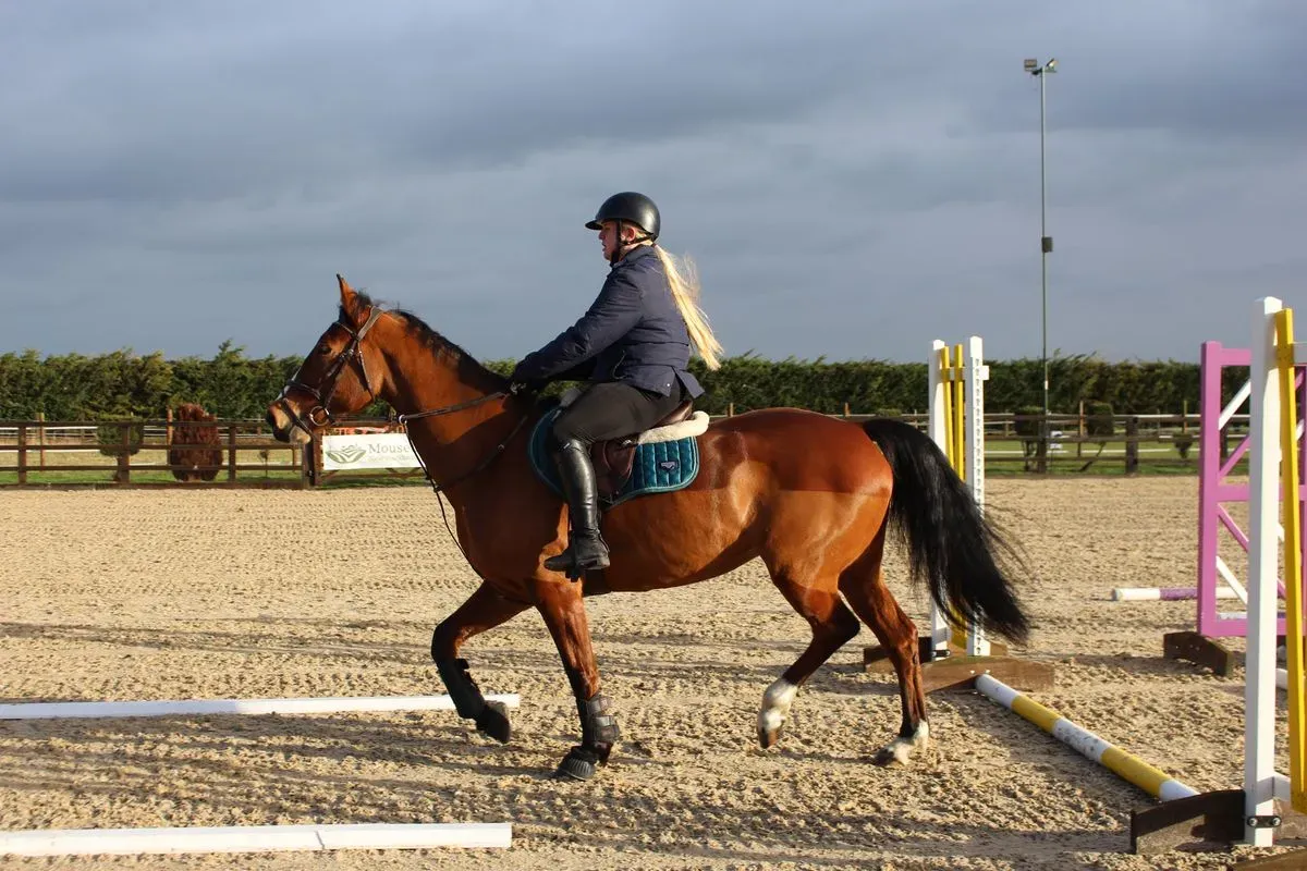 8225638486449-zfmn1ejty65jvsl9a08au-IMG-8850 thumbnail image