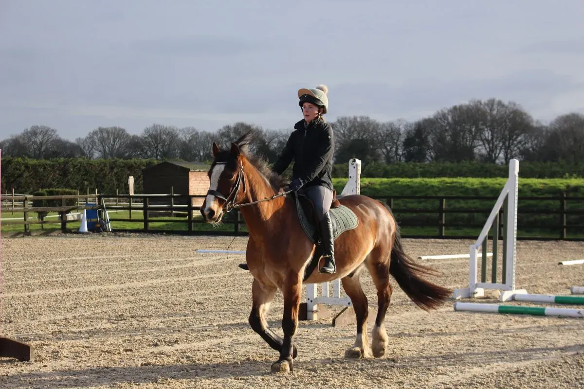 8225638635669-kn1zfqggzns8f7ungylu-IMG-8844 thumbnail image