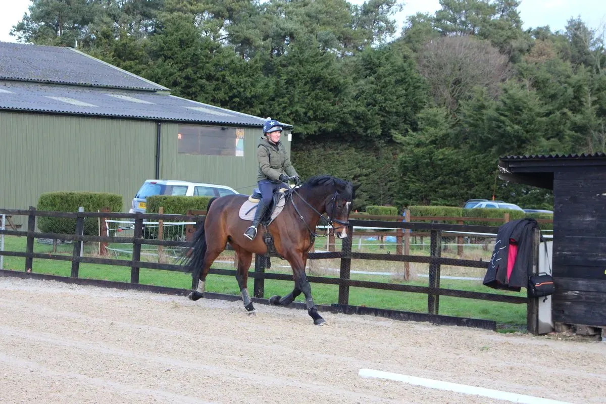 8225638777272-h6l8l6bdzjmp6hge74ik-IMG-8807 thumbnail image