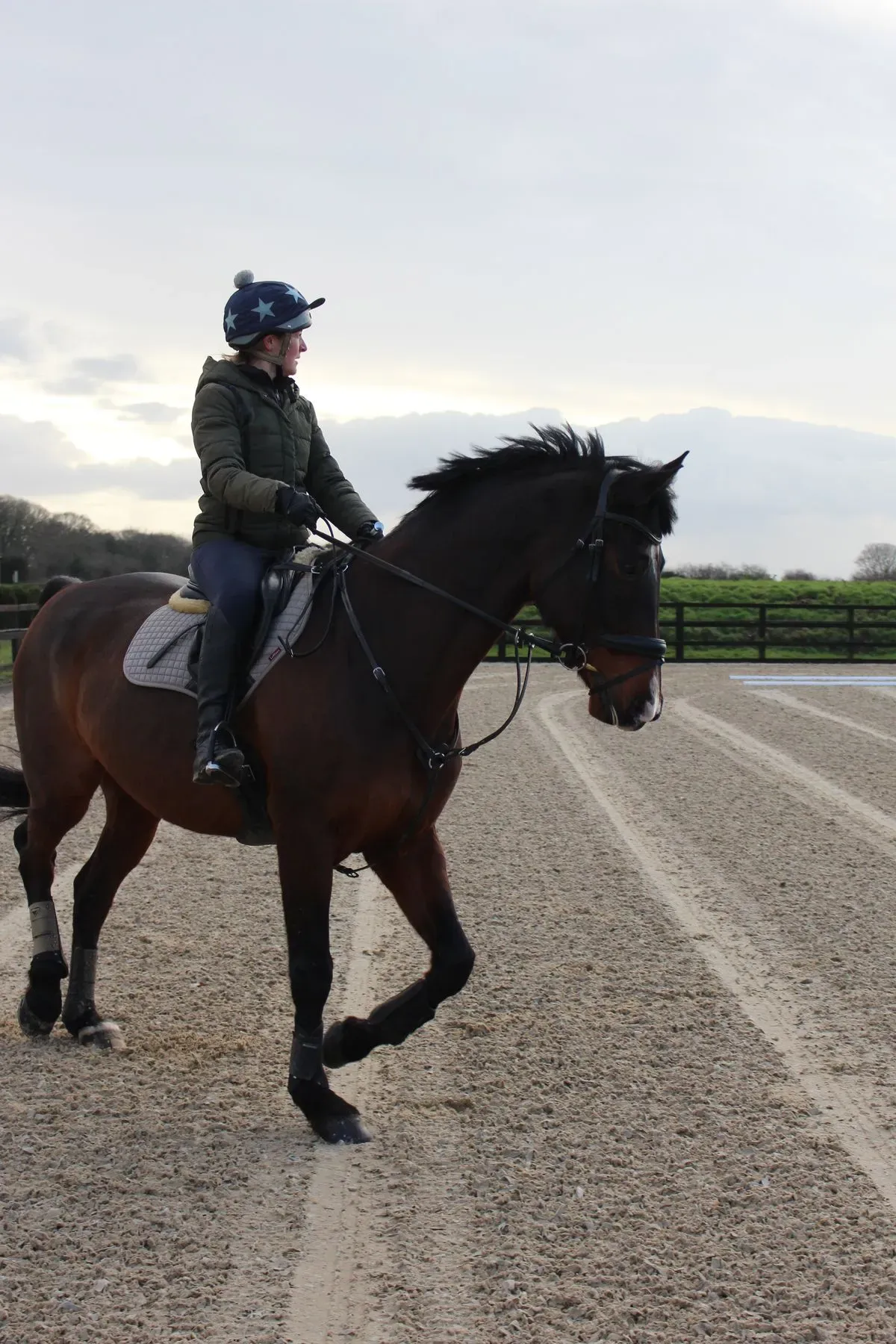 8225638805631-qh2ol4iq0plvxp0e9ngeo8-IMG-8776 thumbnail image