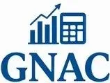 GN Accountancy & Consulting Ltd logo