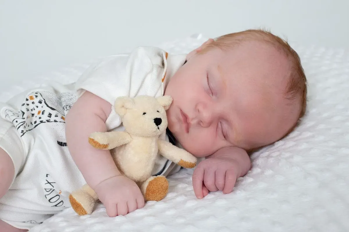 Descriptive text for the image