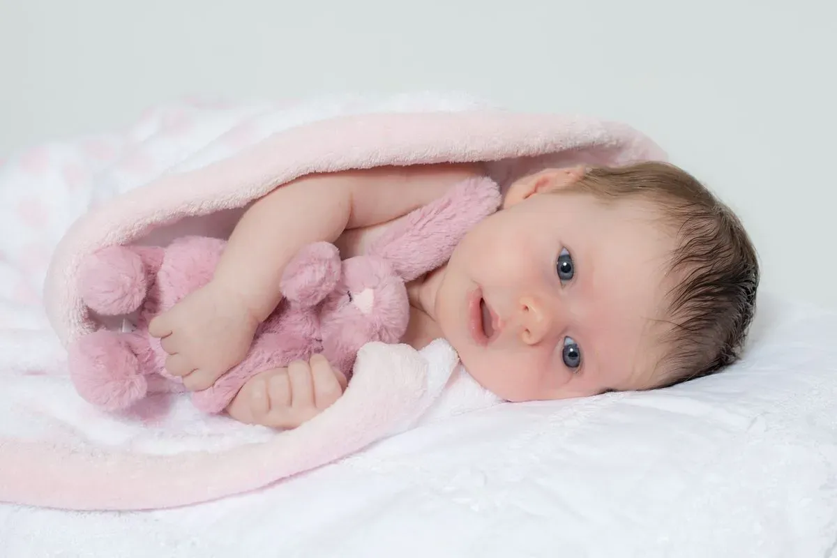 Descriptive text for the image