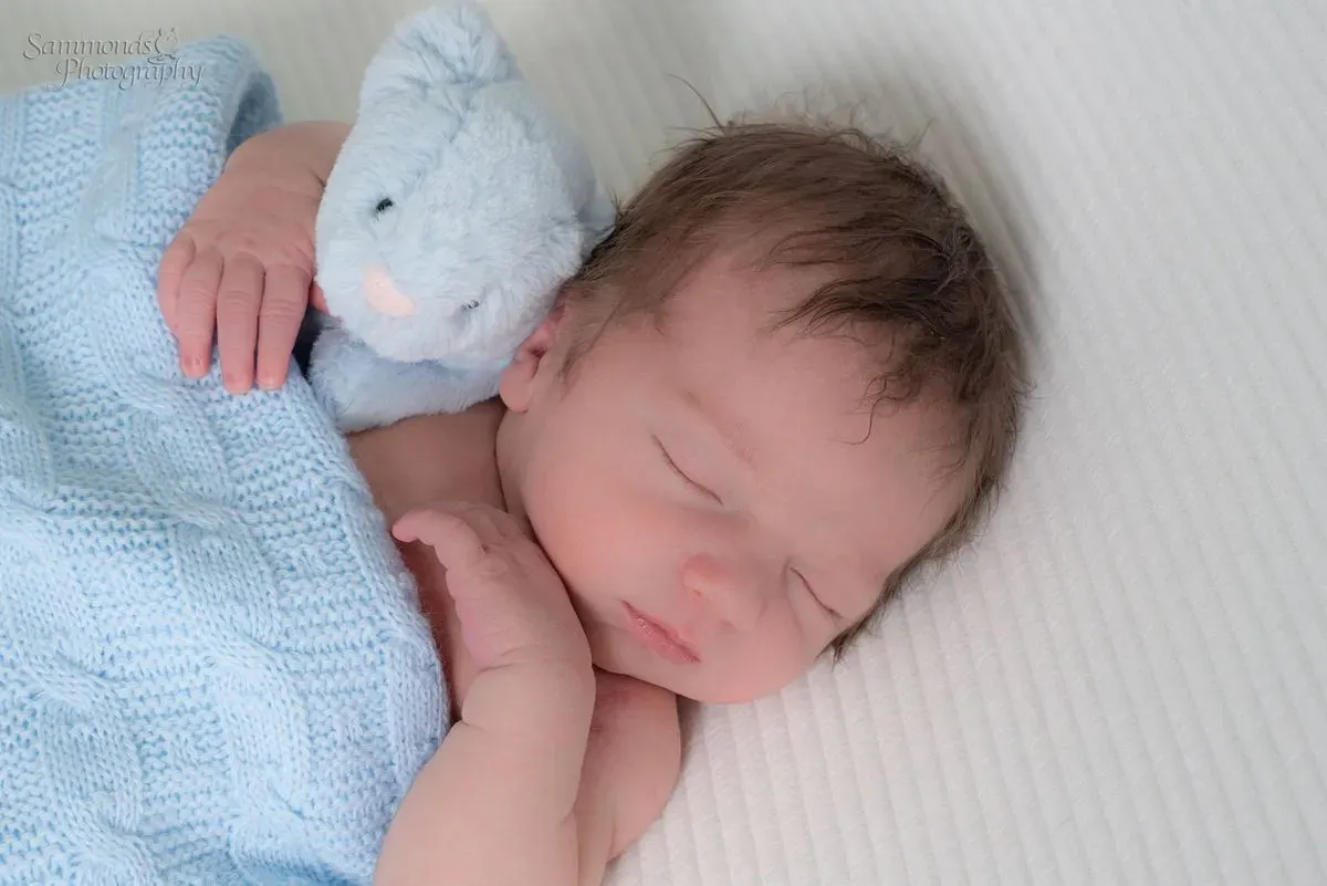 Descriptive text for the image